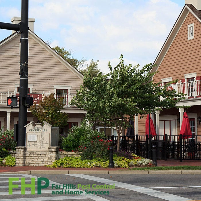 Centerville, Ohio Pest Control
