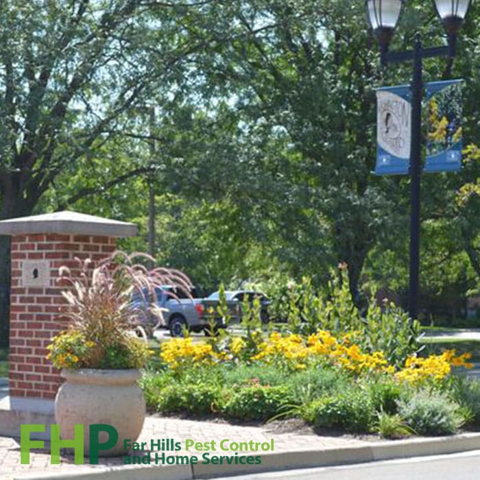 Washington Township, Ohio Pest Control