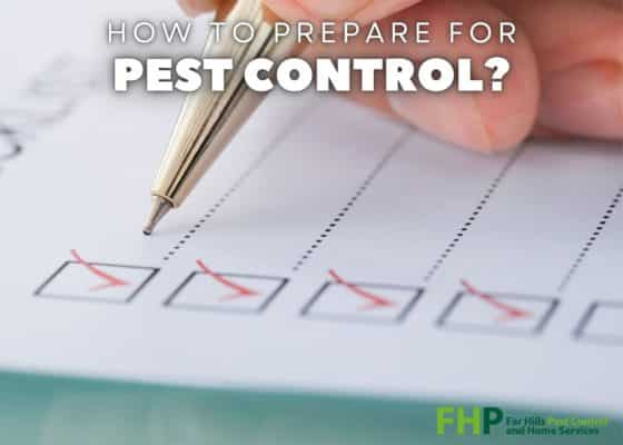 How to Prepare for Pest Control